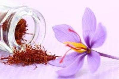 Nhụy Hoa Nghệ T&acirc;y