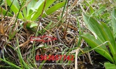 Th&oacute;i quen bỏ bữa s&aacute;ng đẩy nhiều người Việt v&agrave;o nguy cơ b&eacute;o ph&igrave;