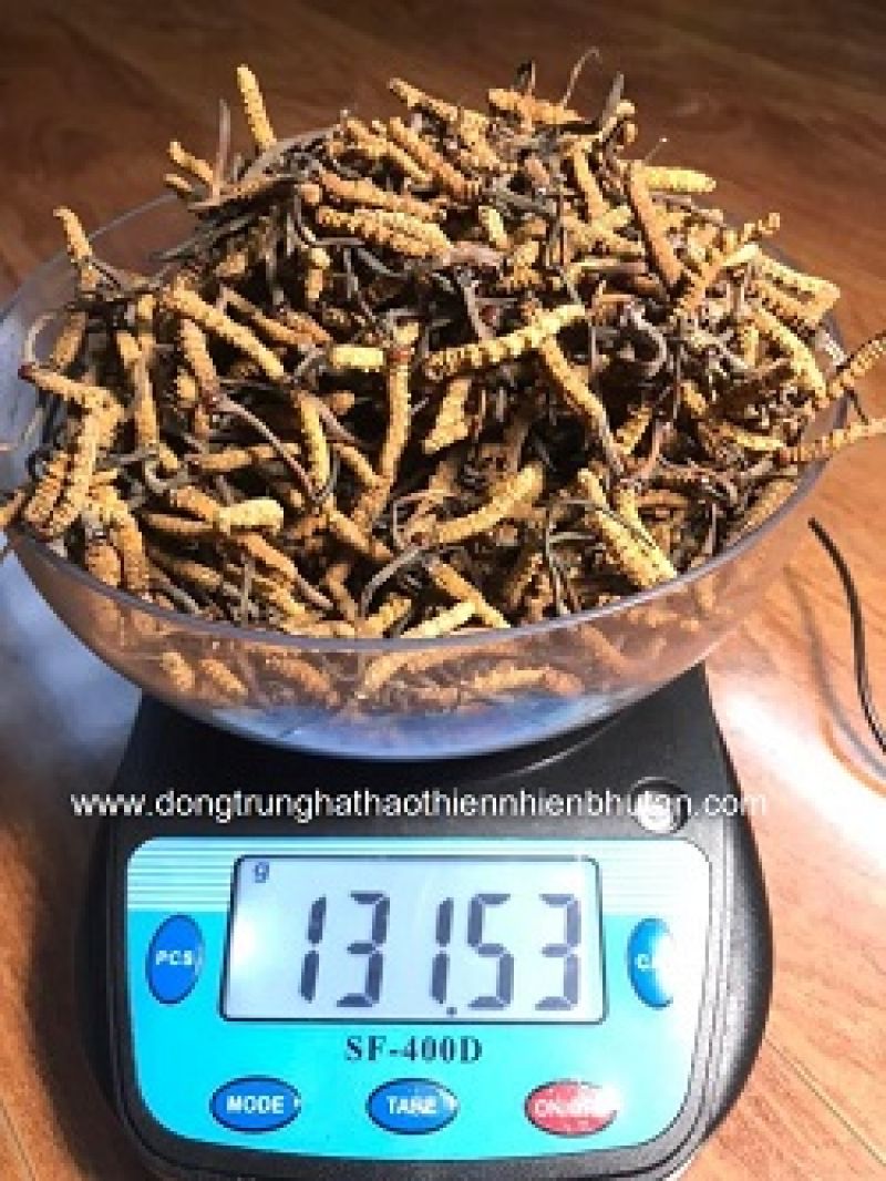 Triệu ph&uacute; chi h&agrave;ng triệu USD chống l&atilde;o h&oacute;a khuy&ecirc;n d&ugrave;ng 'thực đơn 0 đồng'