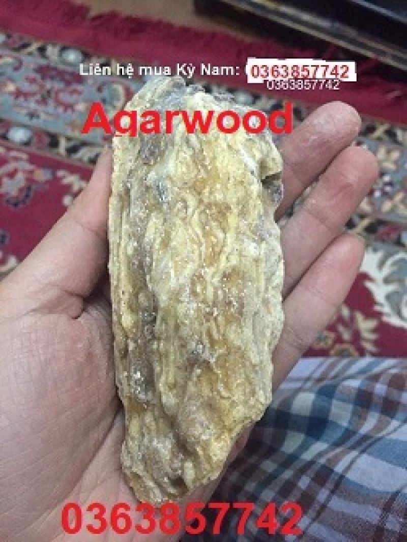 Trầm Hương Kỳ Nam