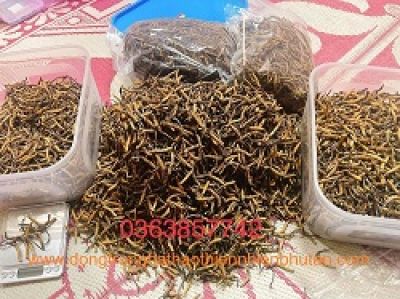 Đồ ăn nhanh, &iacute;t vận động khiến nhiều người Việt hỏng thận
