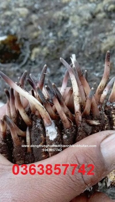 Cú sốc &#039;vô tinh&#039; của các quý ông