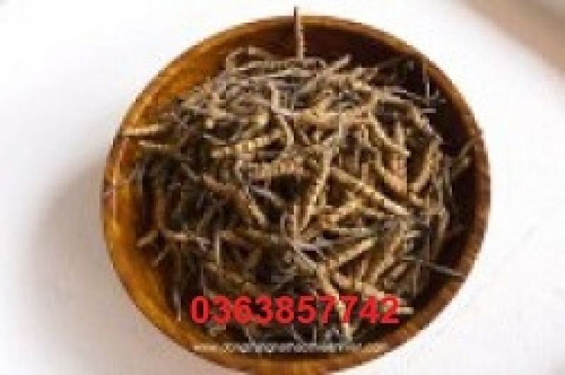 Thực đơn phục hồi gan sau nhiều ngày uống bia rượu