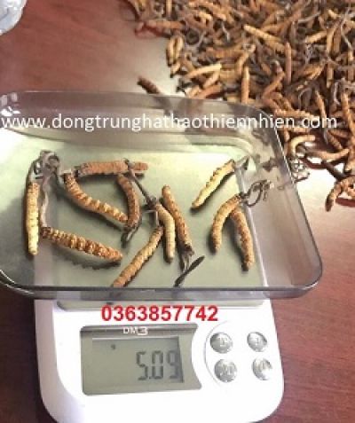 Những ch&iacute;nh s&aacute;ch y tế c&oacute; hiệu lực từ 1/7