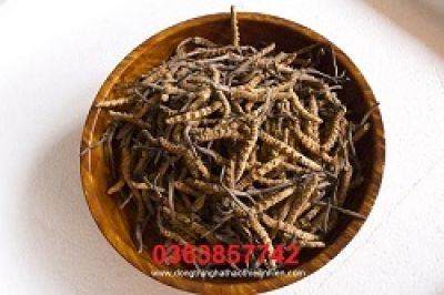 Cứu thiếu niên bị đâm thủng tim &#039;nghìn cân treo sợi tóc&#039;